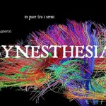 synesteshia logo